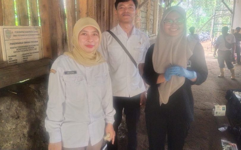 Pastikan Keamanan Pangan, Dinas Peternakan Ciamis Lakukan Pemeriksaan Sampel Darah Ternak di Panjalu