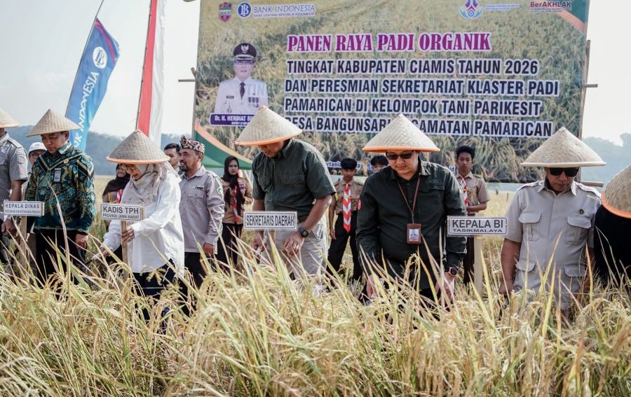 Hadiri Panen Padi Organik, Sekda Ciamis Tegaskan  Ini Hasil  Kerja Keras Semua Pihak