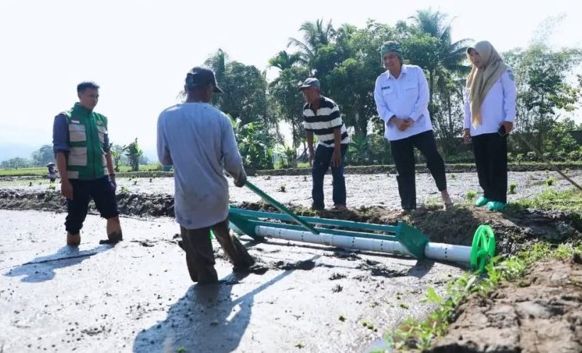 Penerapan Teknologi Pertanian Modern, Tingkatkan Produktivitas Dan Ketahanan Pangan
